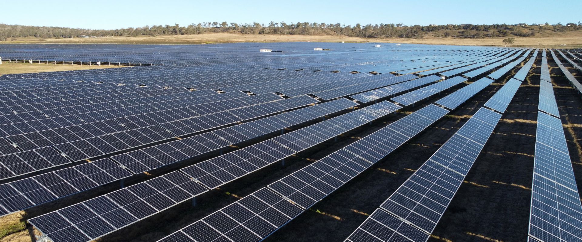 An array of rows of solar panels in a solar panel farm in front of trees.