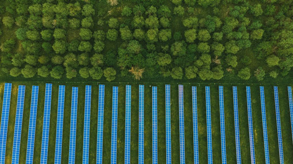 Aerial view of rows of solar panels in a grassy field next to a forest.